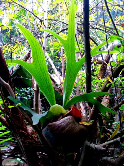 Photos of "Floresta" Ecological Park