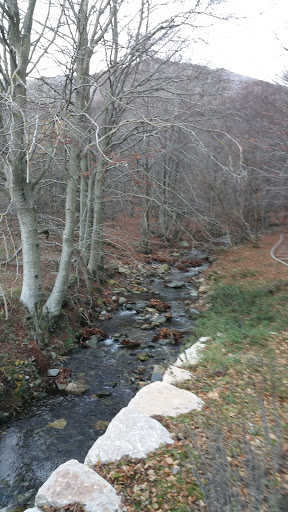 Campins Pàrquing - Thumbnail
