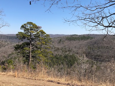 Buffalo Point Campground