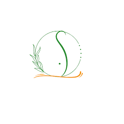 Photo n°2 de SCHWEITZER Hélène à Mandelieu-la-Napoule (Praticien en médecine holistique)