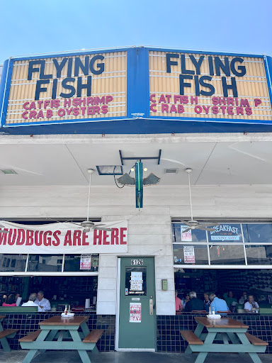 Flying Fish - Thumbnail
