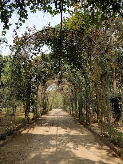 Photos of Aranya Eco Resort