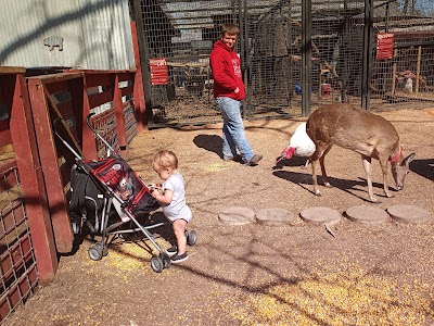 Hochatown Rescue Center & Petting Zoo