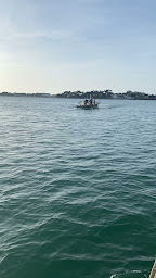 Photo n°2 de coquillages de Bretagne à Le Croisic (Ferme aquacole)