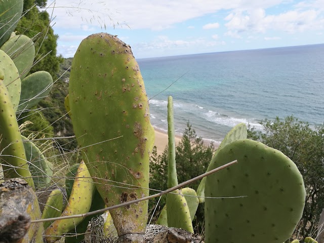 Beach 300 Steps