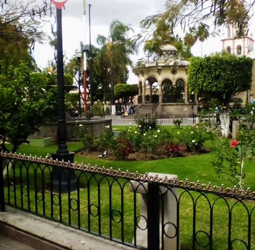 Jardín Hidalgo Gallery - Mexico
