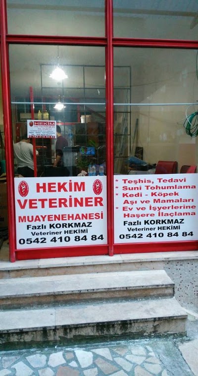 Photos of &Ccedil;ayeli Hekim Veteriner Kliniği