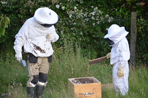Photo n°1 de le rucher poète APICULTEUR. vente sur rdv à Porte-des-Bonnevaux (Ferme bio)