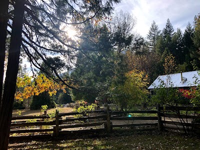 Ripple Creek Cabins