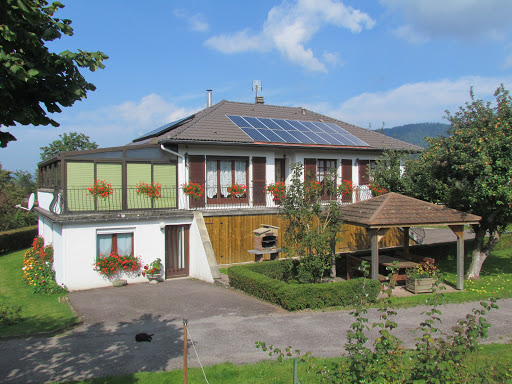 Photo de SapinMyrtille à Dommartin-lès-Remiremont (88200)