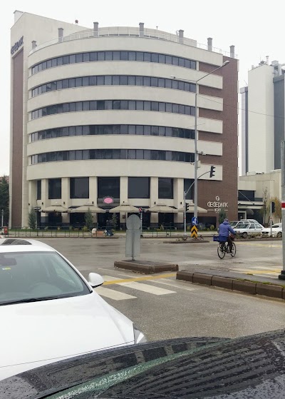 Photos of Dedepark