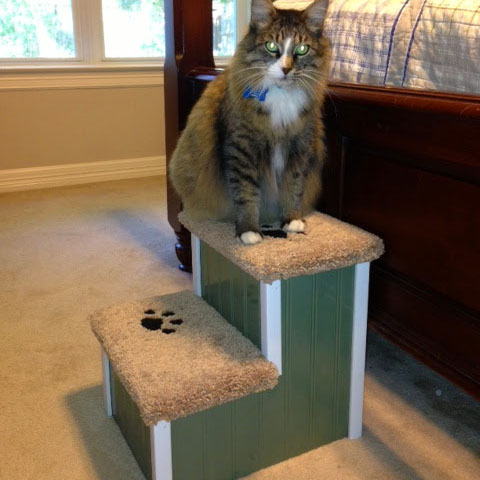Hampton Bay Pet Steps - Thumbnail