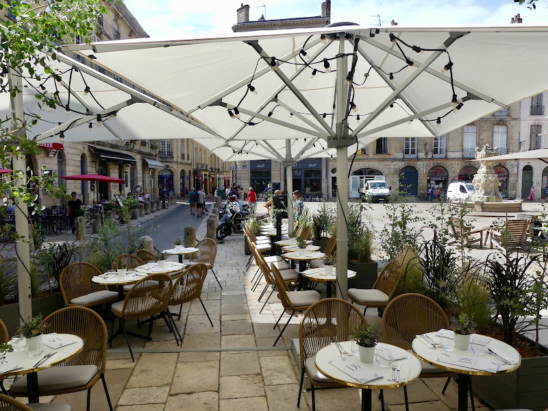 DS Café — photo