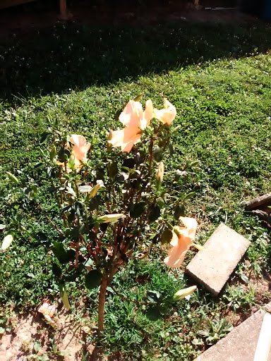 Southwood Pointe Mobile Home Park - Thumbnail