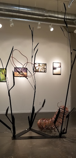 Fiber Studio - Visual