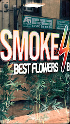 Photo n°8 de SMOKE4ONE® à Agde (Magasin de thé)