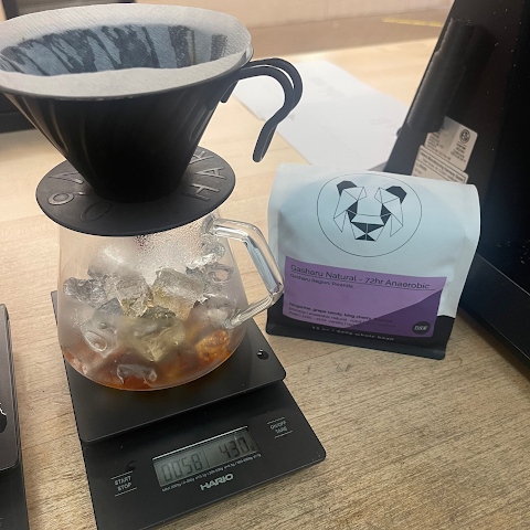 drip coffee makers by null