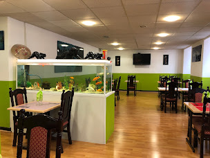 Photo n°21 de Restaurant Dragon d'Asie à Mende (Restaurant asiatique)