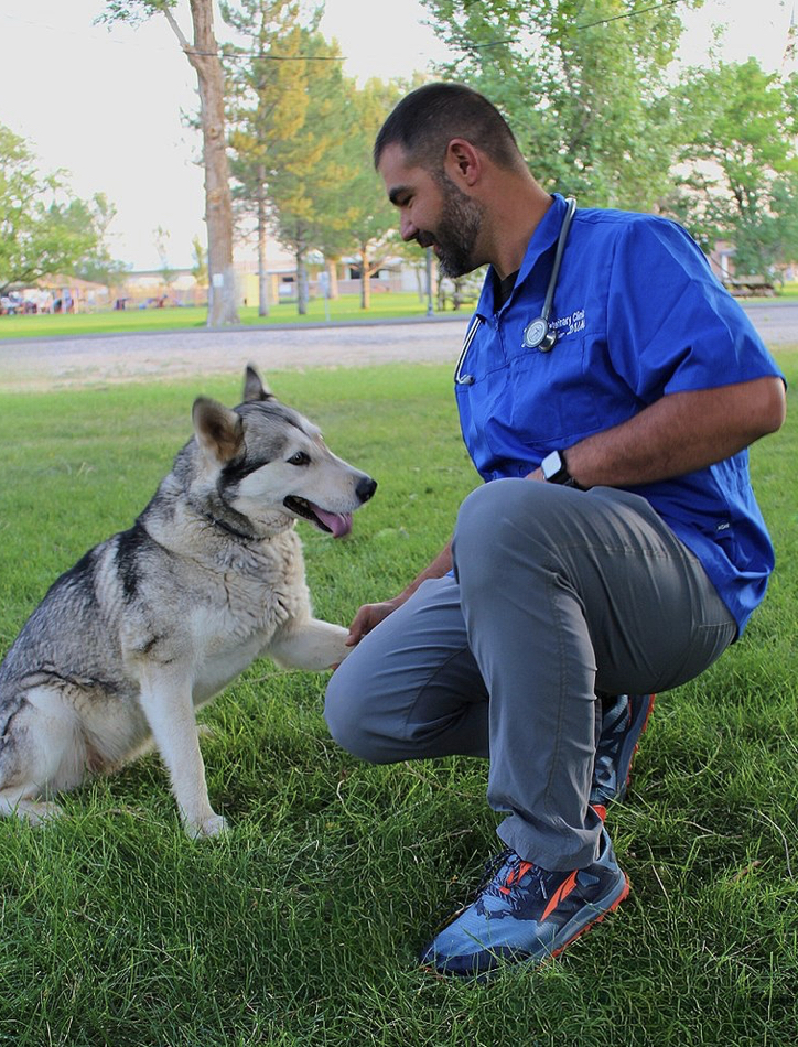 Summit Veterinary Clinic
