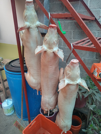 Carnitas Michoacanas Chamulitas - Thumbnail