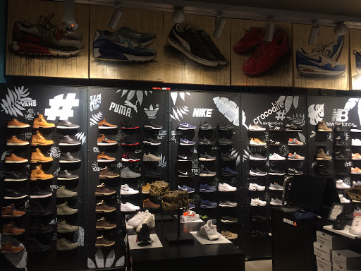 Crocodile Sneaker Store - Thumbnail