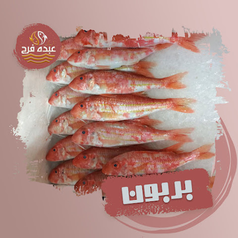 Abdo Farag Seafood Restaurant by null