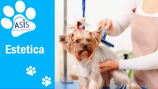 Hospital Veterinario Asis