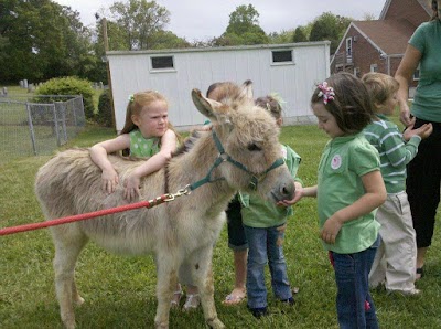 Little Critters Traveling Petting Zoo LLC