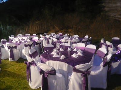 Photos of Kasuarinas