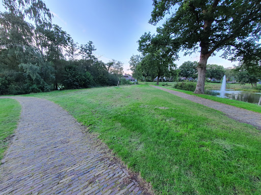 Vijver Borgerbrink-Asserbrink - Thumbnail