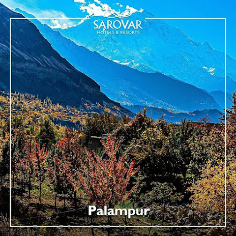 RS Sarovar Portico, Palampur by null