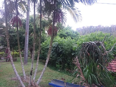 Photos of Nilwala Tea Factory