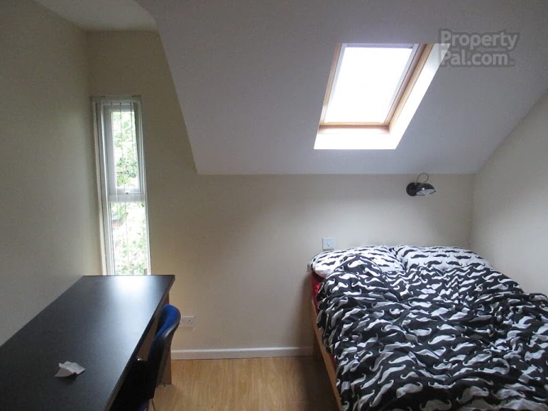 Boyle Properties photo 2