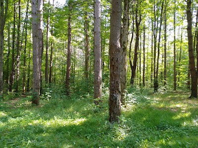 East Otto State Forest Campground