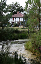 Photo n°38 de AIRIAL FABIAN à Rion-des-Landes (Spa)