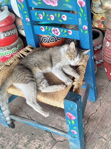 Alfarería Miranda Gallery - Mexico