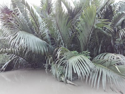 Photos of Kochikhali Forest Guesthouse