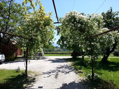 Photos of Villa Mustafa