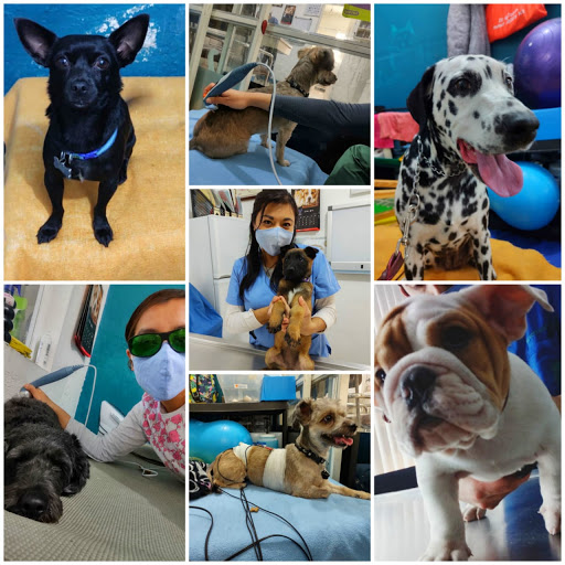 Unidad Clínica Veterinaria Centro