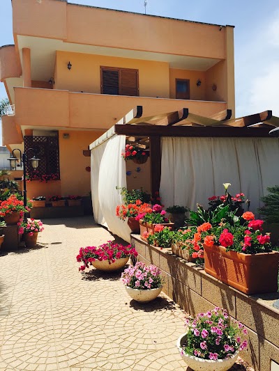 Photos of B&B Zahir