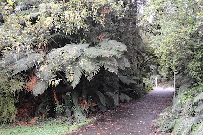 Photos of Fox Glacier Information Centre