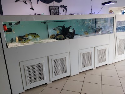 Photos of Aquaricenter