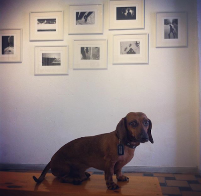 Photos of Galeria Espacio Interferencia