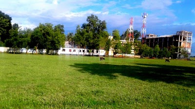 university