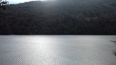 Photos of Main access Huerquehue National Park