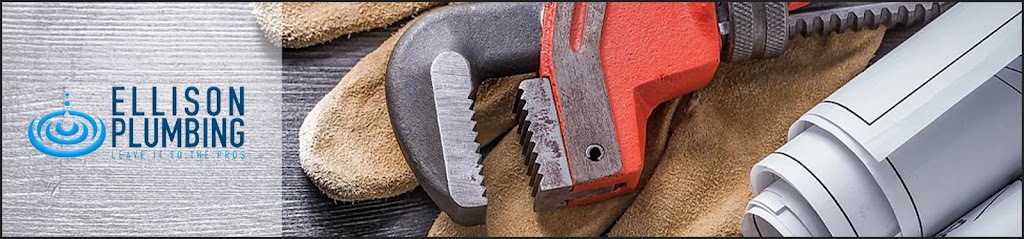 Ellison Plumbing LLC - Plumbing Services
