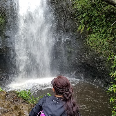 Pālolo Valley District Park