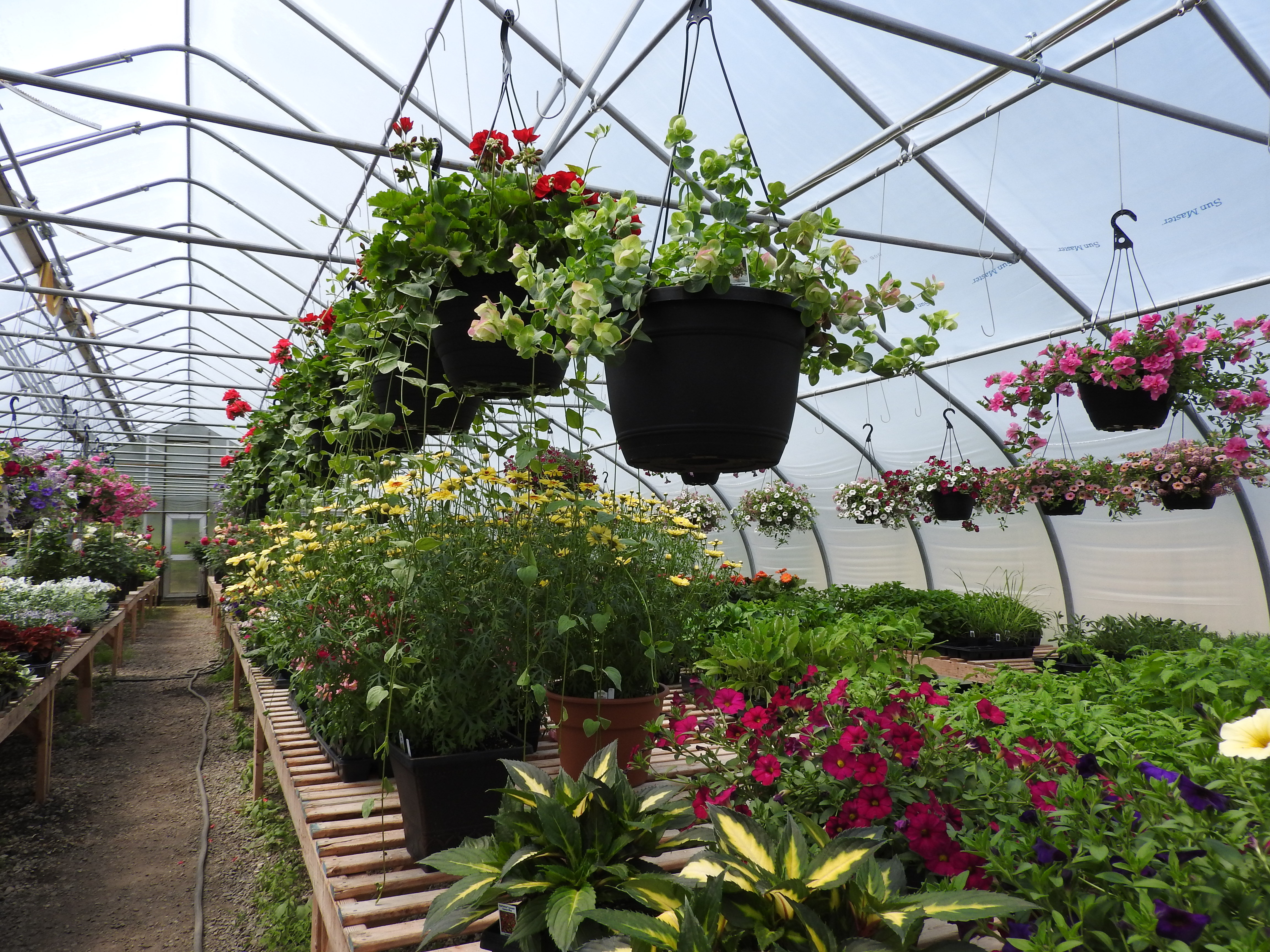 Zapka's Garden Center