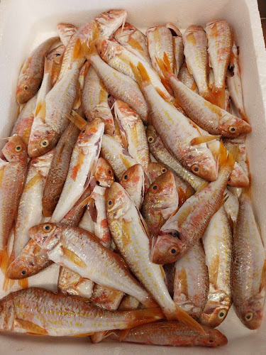 ΣΑΜΑΝΗΣ ΙΧΘΥΟΠΩΛΕΙΟ - Σούπερ μάρκετ