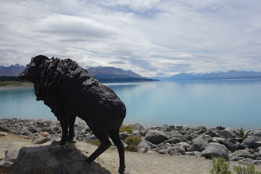 Lake Pukaki car park - Thumbnail